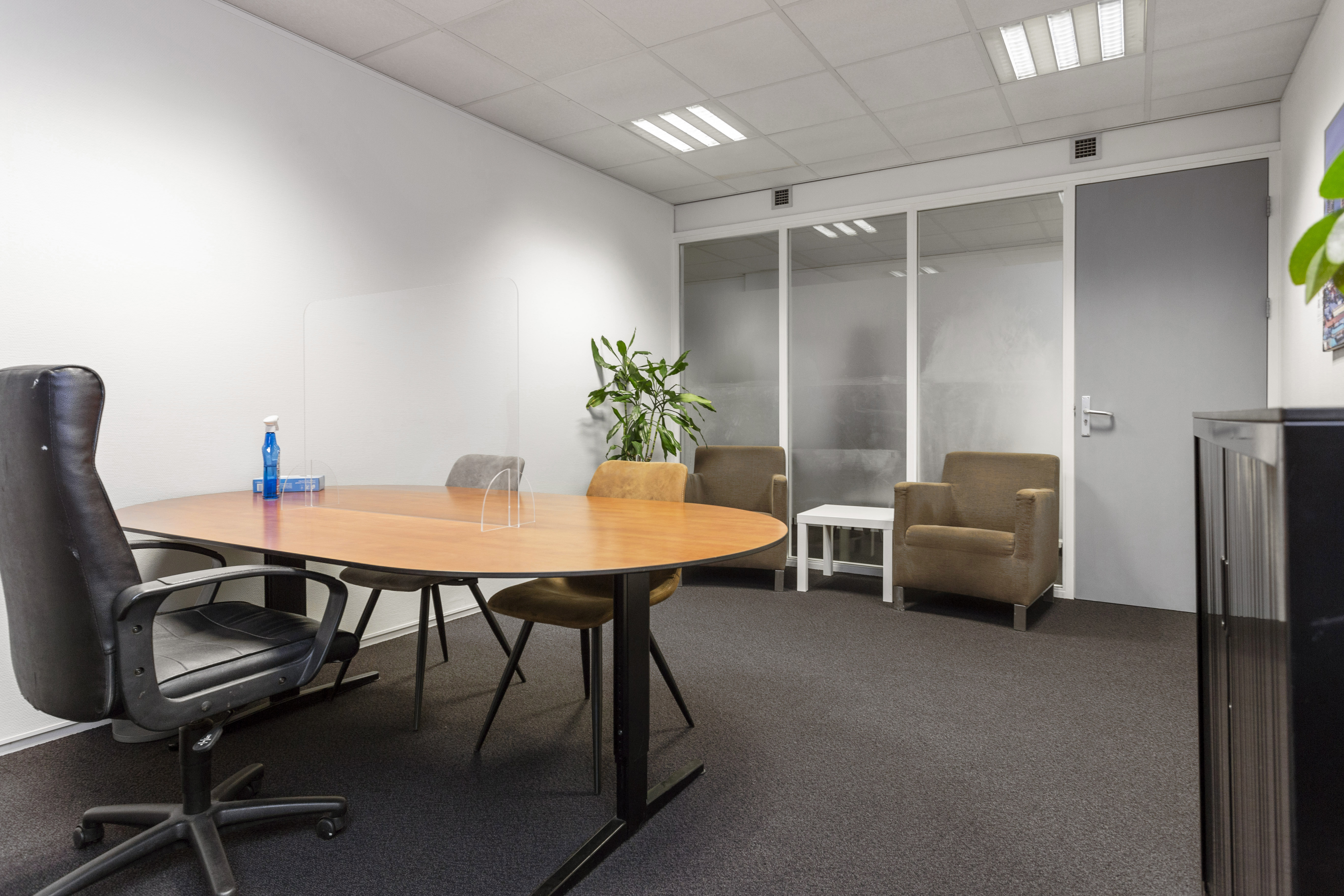 Den Haag_groenekamer3.JPG